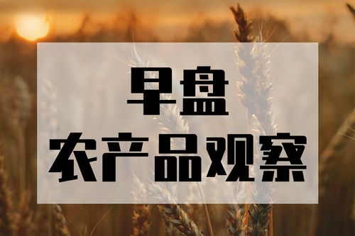 2020年5月29日 中小企业管理咨询的价值与挑战