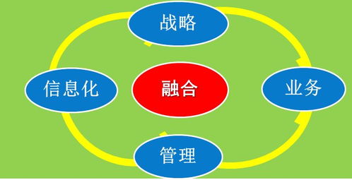 数字化转型与企业核心能力重构——以中国中钢集团公司为例的启示